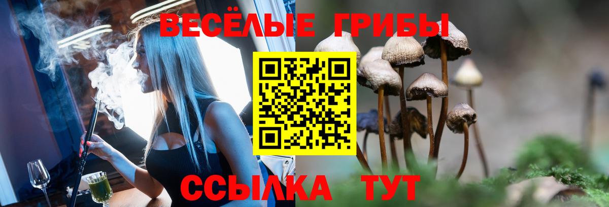 наркота  Вход с VPN  Ковров  Псилоцибиновые грибы мухоморы 